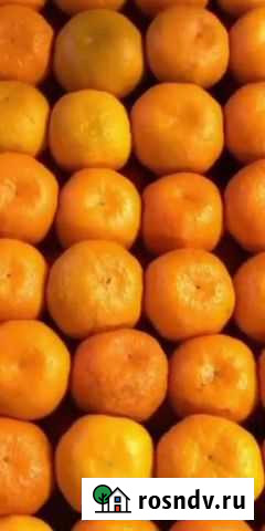 Мандарины Абхазии Сочи - изображение 1