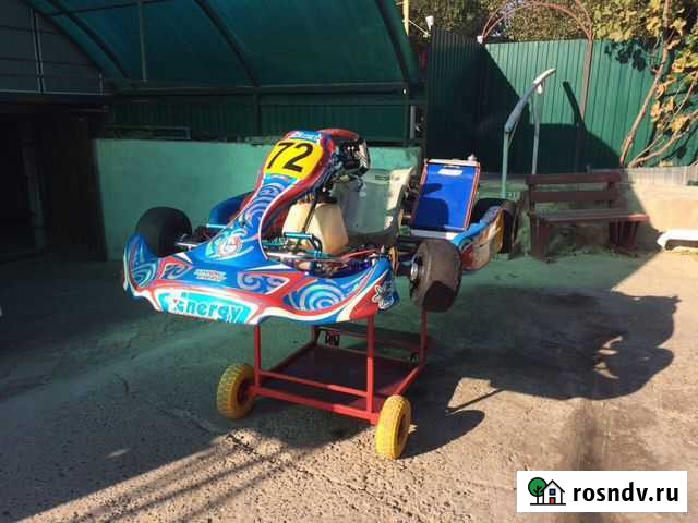 Продам картинг всборе или двигатель чезета516 вода Ейск - изображение 1