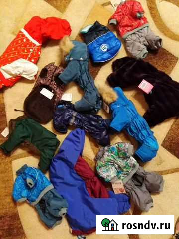 Одежда для собак Набережные Челны - изображение 1