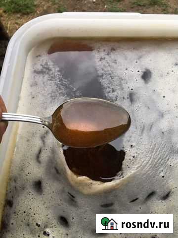 Мёд 2021 года Налобиха - изображение 1