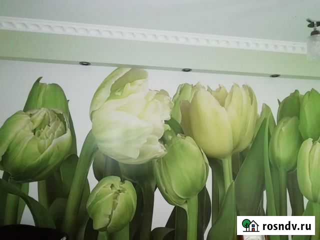 Ремонт квартир, помещений, частных домов Славянск-на-Кубани - изображение 1