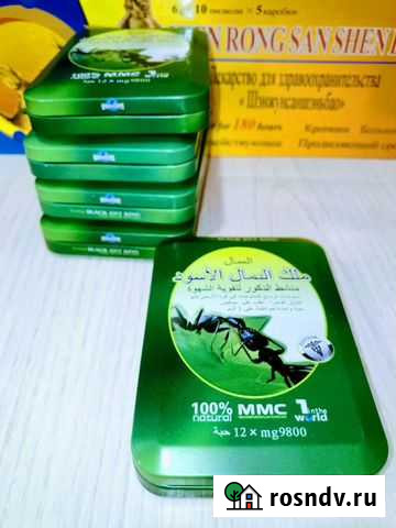 Муравей Черные Прокопьевск - изображение 1