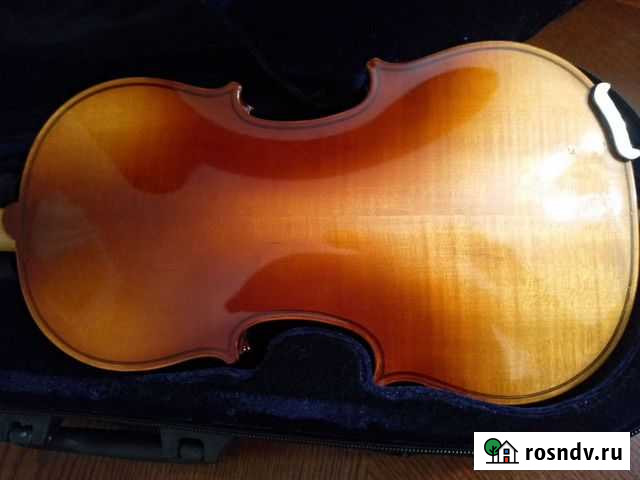 Скрипка 1/2 Санкт-Петербург - изображение 1