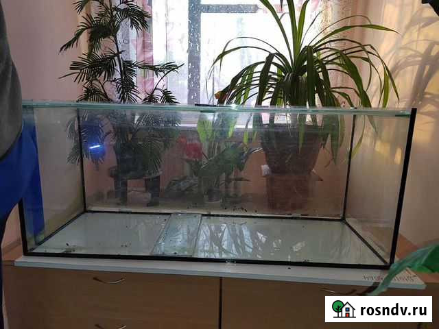 Аквариум Оренбург - изображение 1