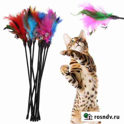 Дразнилка для кота Свободный