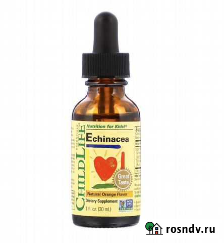 Эхинацея для детей Лесной Городок - изображение 1