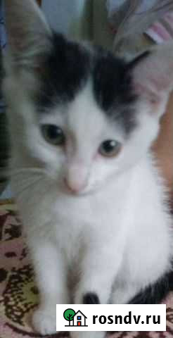 Уход за пожилыми людьми Улан-Удэ - изображение 1