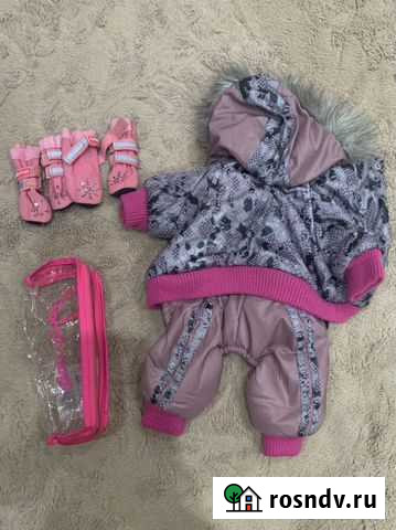 Одежда для собак Вилючинск - изображение 1