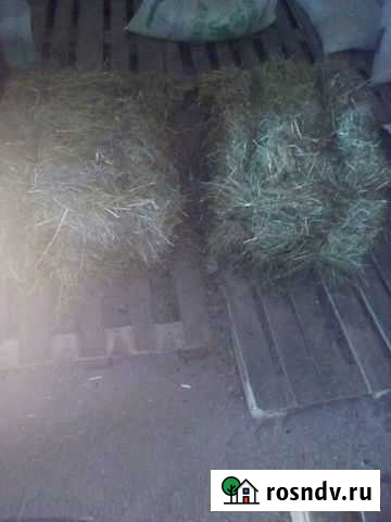 Сено в кипах Вышний Волочек - изображение 1