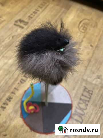 Игрушка для кошек Пушкино - изображение 1