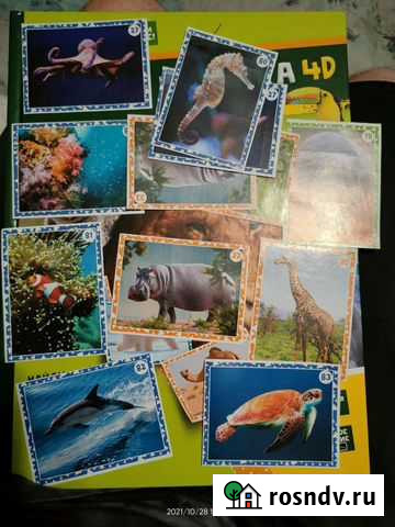 Наклейки живая планета Киров - изображение 1