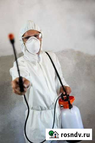 Дезинсекция тараканы клопы Нижнекамск - изображение 1