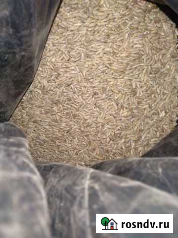 Корм для животных,зерно,овес, пшеница, рожь,кукуру Шаталово - изображение 1