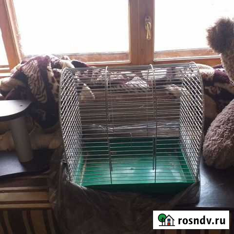 Клетка с принадлежностями Северная - изображение 1