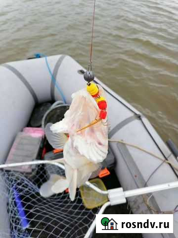 Продаю лодку Астра-340 в полной комплектации в отл Началово - изображение 1