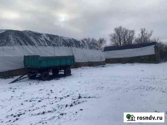 Солома в тюках (Патока) Кукуруза, морковь, соя, се Тамбов