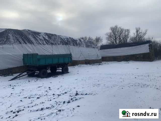 Солома в тюках (Патока) Кукуруза, морковь, соя, се Тамбов - изображение 1