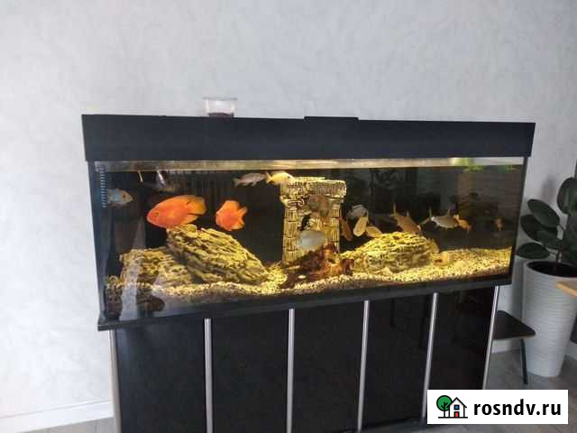 Аквариум 400л Альметьевск - изображение 1