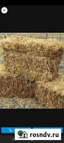 Солома в тюках Усиша - изображение 1