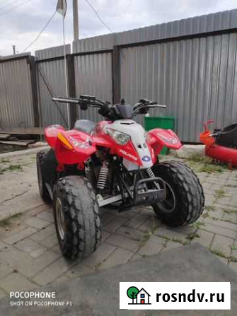 Polaris Predator 50 Березовский - изображение 1