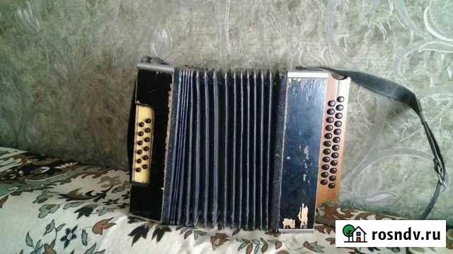 Гармонь Саратов - изображение 1