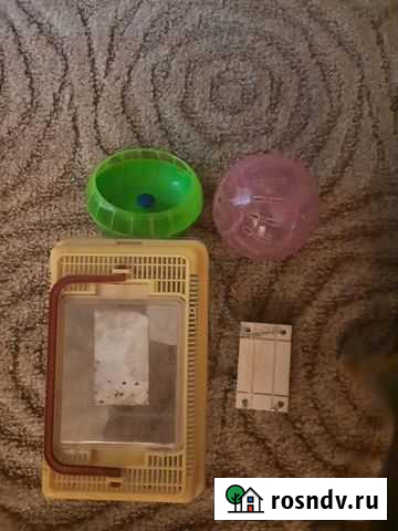 Аксессуары для грызунов в клетку, бесплатно отдам Дзержинск - изображение 1