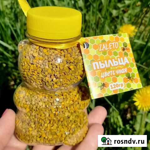 Мёд разных сортов по 1л (1,5кг), пыльца, перга Бийск - изображение 1