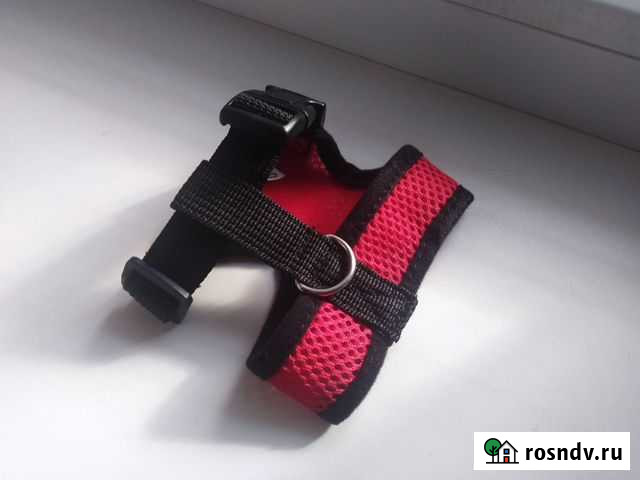 Продаю шлейку-жилет Славгород - изображение 1