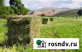 Сено и солома ячменная рулонах Милютинская - изображение 1