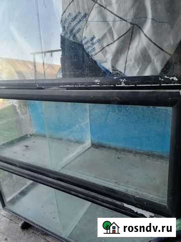 Аквариум Брянск - изображение 1