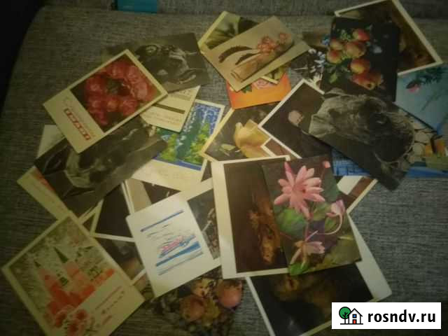 Почтовая карточка, открытка СССР Москва - изображение 1