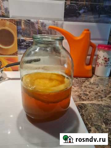 Чайный гриб Сочи - изображение 1