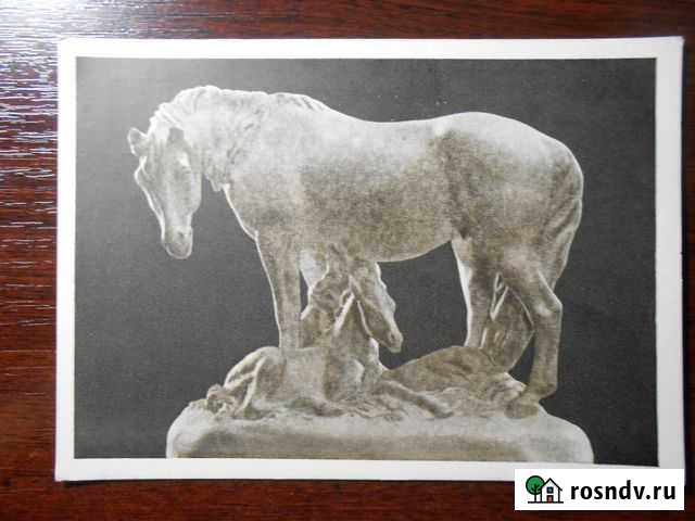 Открытка Морозова Материнство 1955 Лошадь Симферополь - изображение 1