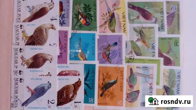 Почтовые марки Птицы Череповец - изображение 1