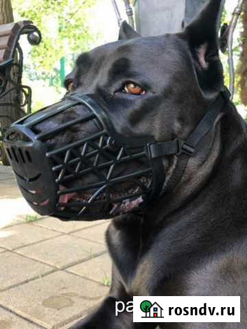 Намордник для большой собаки Орск - изображение 1