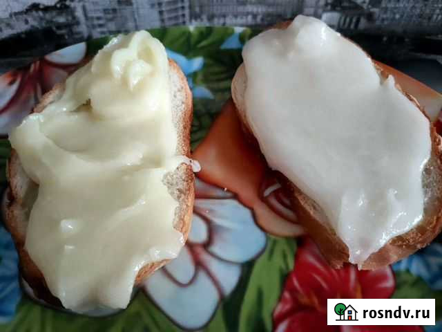 Белый донниковый мёд от частной пасеки Иркутск - изображение 1