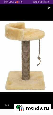 Когтеточка Астрахань - изображение 1