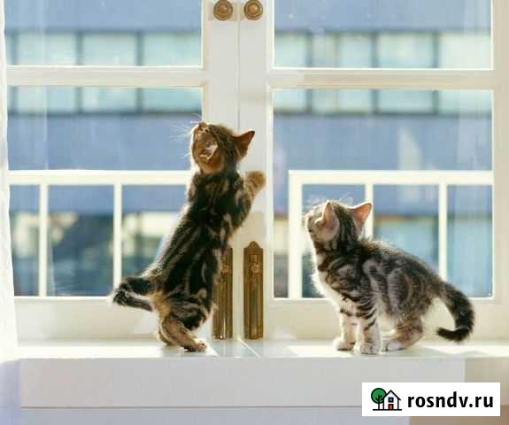 Пластиковые окна Гусь-Хрустальный - изображение 1