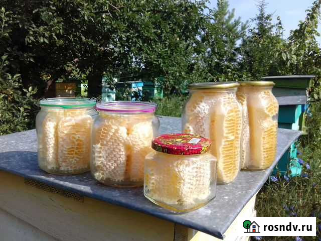 Соты в банке экомёд Лев Толстой - изображение 1
