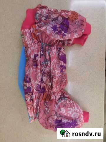 Одежда для собак мелких пород Киров - изображение 1