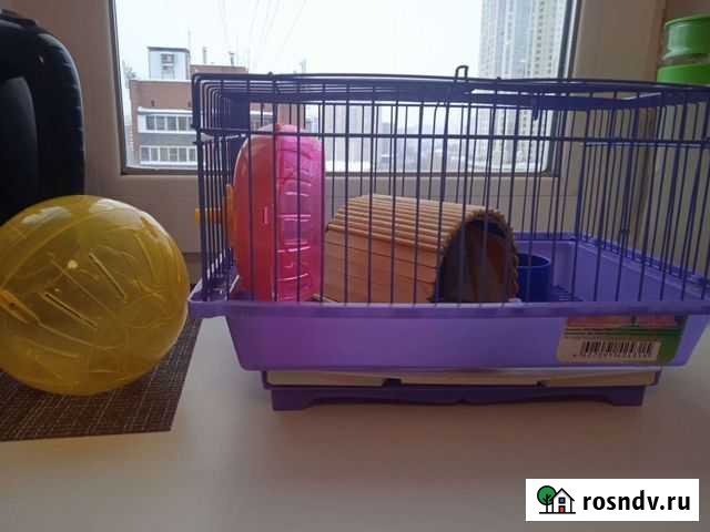 Джунгарский хомяк с клеткой Екатеринбург - изображение 1