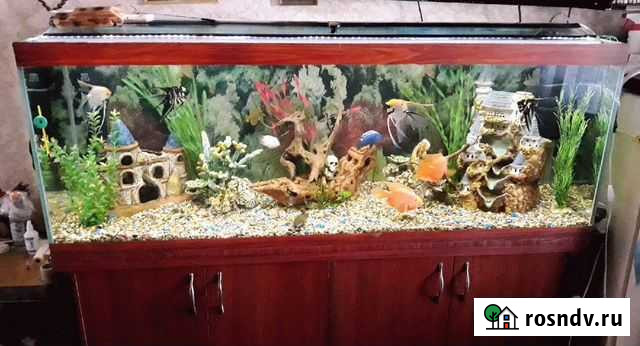 Продам аквариум Омск - изображение 1