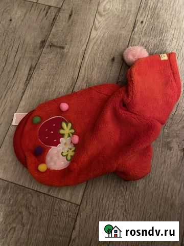 Толстовка для собаки Севастополь - изображение 1