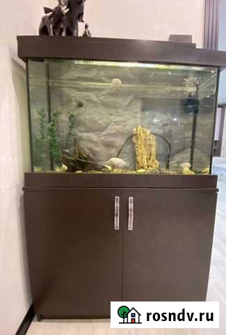 Террариум Нижнекамск - изображение 1