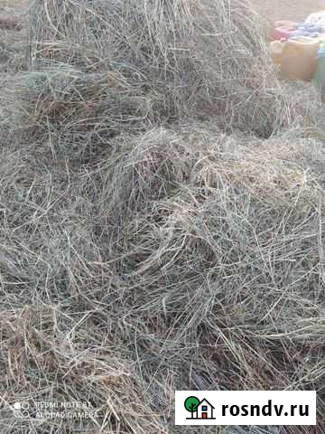 Сено в тюках Ливны - изображение 1