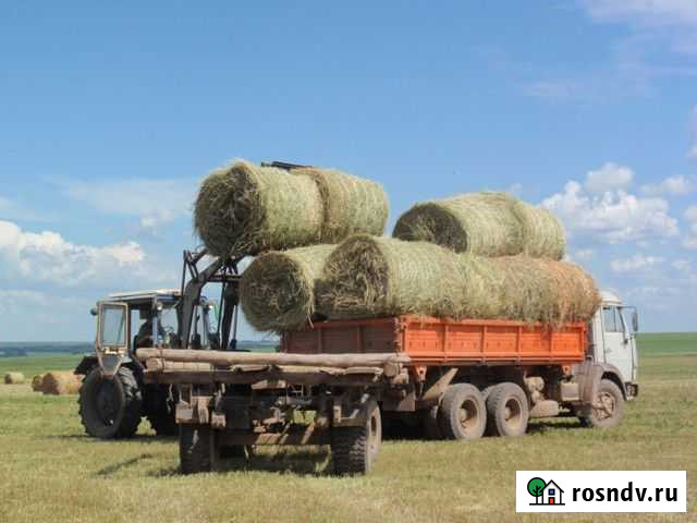 Сено Поспелиха - изображение 1