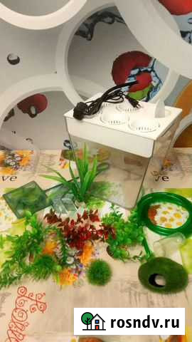 Аквариум Акваферма Самара - изображение 1