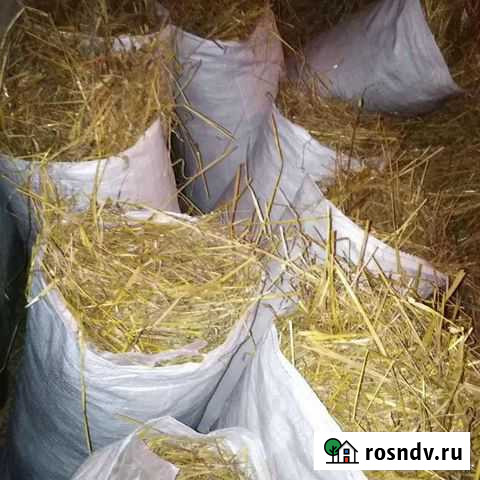 Солома Парковая Курск - изображение 1