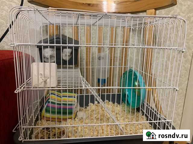 Клетка для грызунов, хомяков Тула - изображение 1