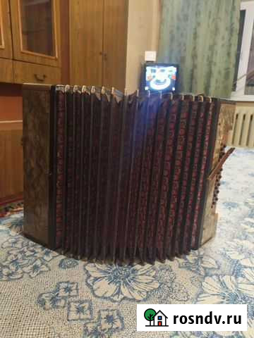 Гармонь Вологда - изображение 1